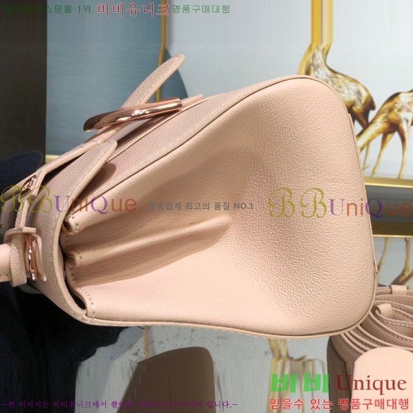 #���� �긮�ӹ� �̴� DV0020-2