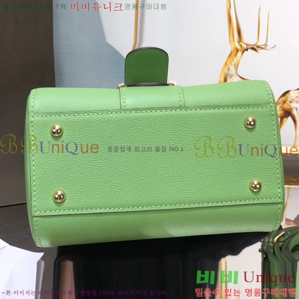 #���� �긮�ӹ� �̴� DV0020-13