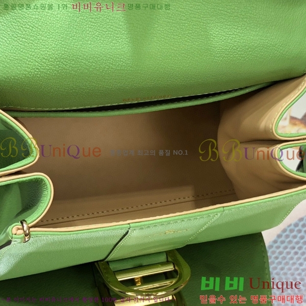 #���� �긮�ӹ� �̴� DV0020-13