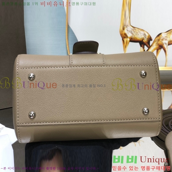 #���� �긮�ӹ� �̴� DV0020-14