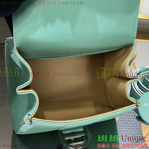 #���� �긮�ӹ� �̴� DV0020-16