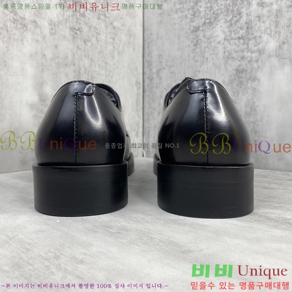 ���� ���װ�����Ÿ ���� BV2400466