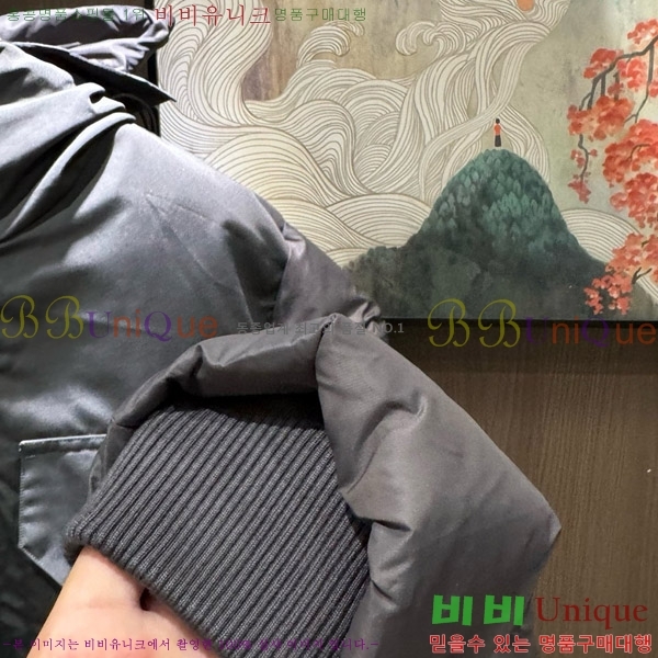 ���� ĳ���ٱ��� �ٿ� �е� 67GC2163852