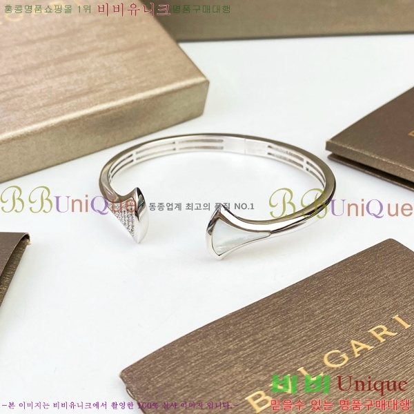 �Ұ��� ���� BVL952209-1