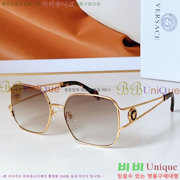 ������ü ���۶� VE102292