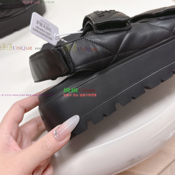 ���� ����� ���� 31P255244-1