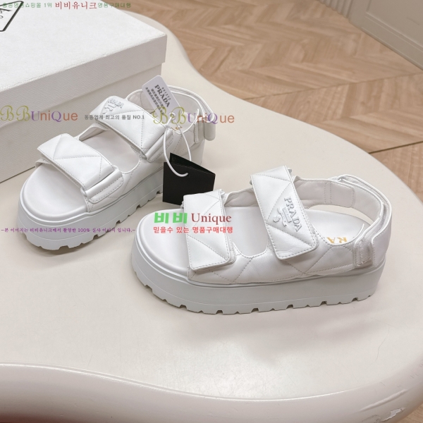 ���� ����� ���� 31P255244-2