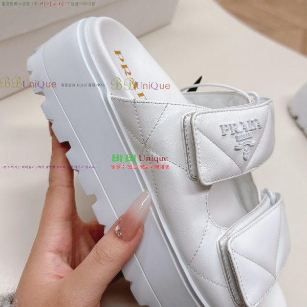 ���� ����� ���� 31P255244-4