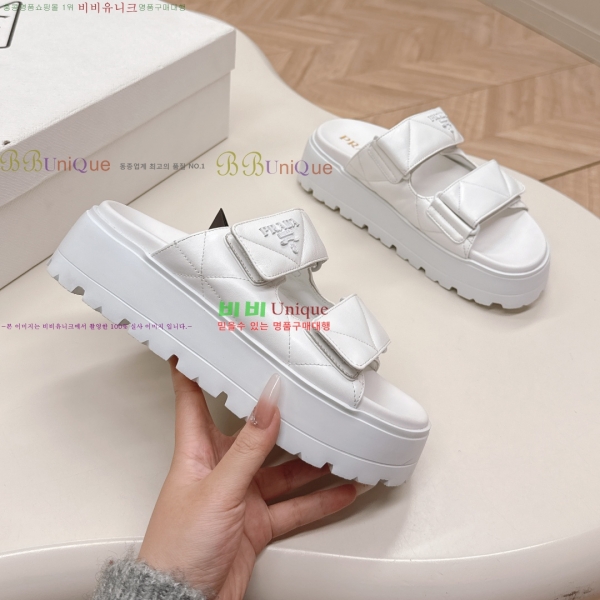 ���� ����� ���� 31P255244-4