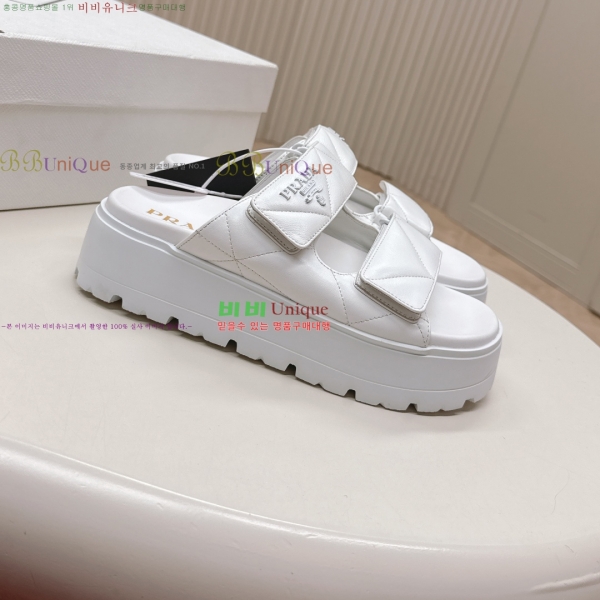 ���� ����� ���� 31P255244-4