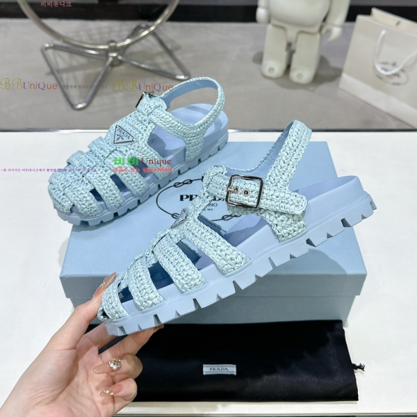 ���� ����� ���� ���� 31P255245-2