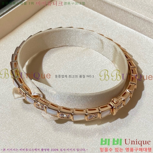 ���� �Ұ��� ���� BV1111244-1