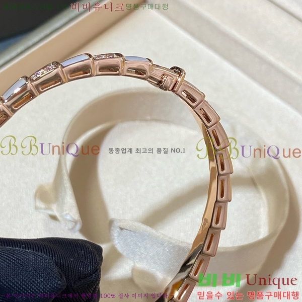 ���� �Ұ��� ���� BV1111244-1