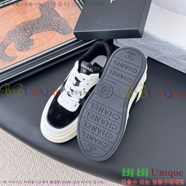 ���� ��* ����Ŀ�� WP66077-6