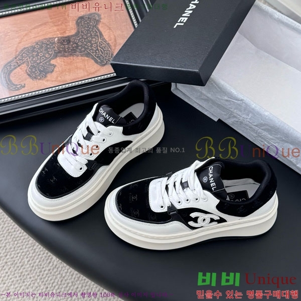 ���� ��* ����Ŀ�� WP66077-6