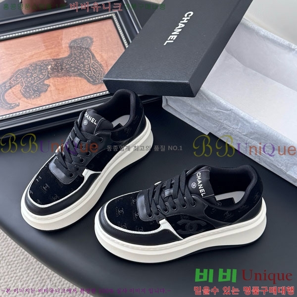 ���� ��* ����Ŀ�� WP66077-11