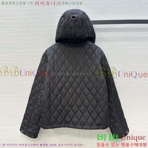 ���� ������ �е� ���� BU61211203-2