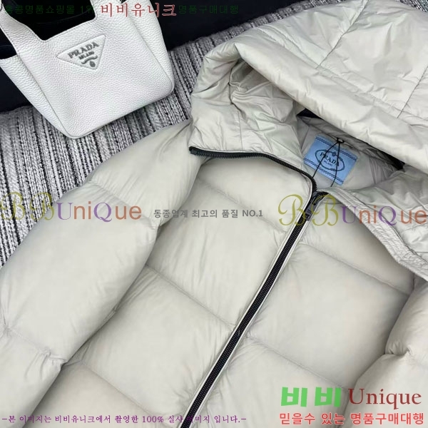 ���� ����� �ٿ� �е� PA123044-1