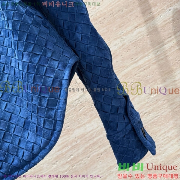 ���� ���װ�����Ÿ ���� ���� BV1306125-17