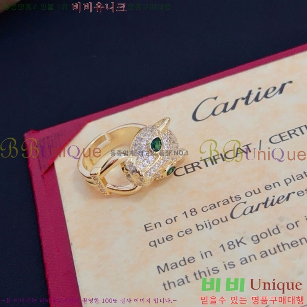 �������� ��쿡 ���� CA91456470-1