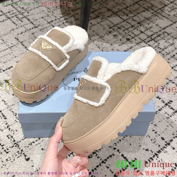 ���� ����� �� ������ P5560221-1