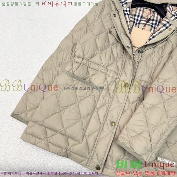 ���� ������ �ٿ� �е� BU23879-2