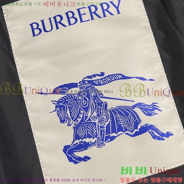 ���� ������ �е� ���� BU256276