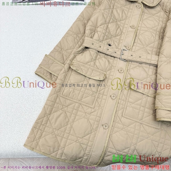 ���� ��� �е� ���� DO1123077-11