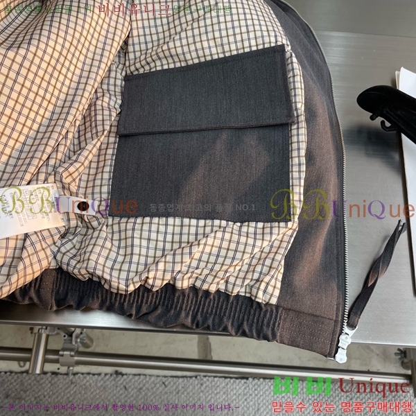 ���� ���װ�����Ÿ �淮 �е� BV242879