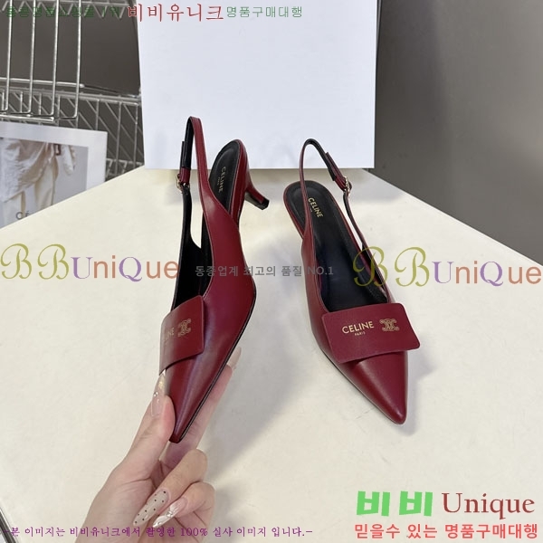 ������ ������ ���� CE2577701-2