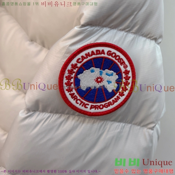 �������� ĳ���ٱ��� �ٿ� �е� CAG215557-2