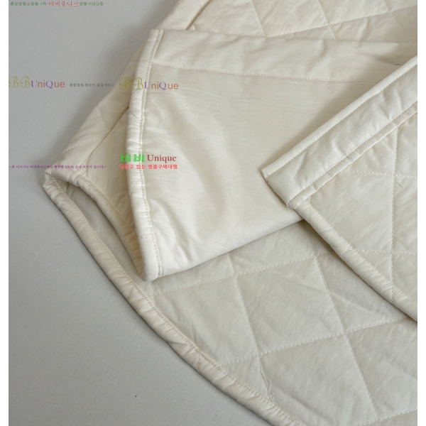 ���� ���װ�����Ÿ �淮 �е� BV242880-1