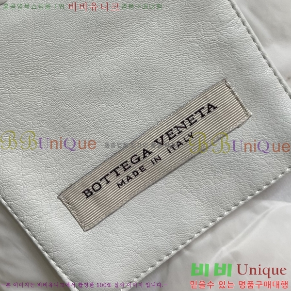 ���� ���װ�����Ÿ ���� BV132354-1