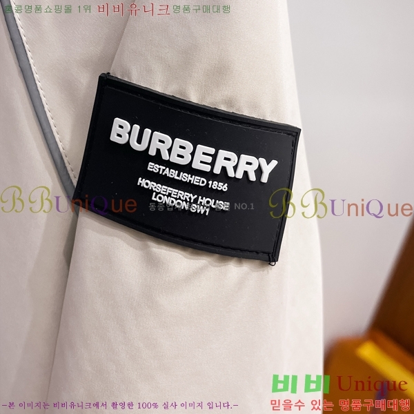 ���� ������ ���� BU215666-2