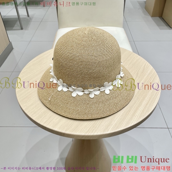 ��* ���� CH2520906-1