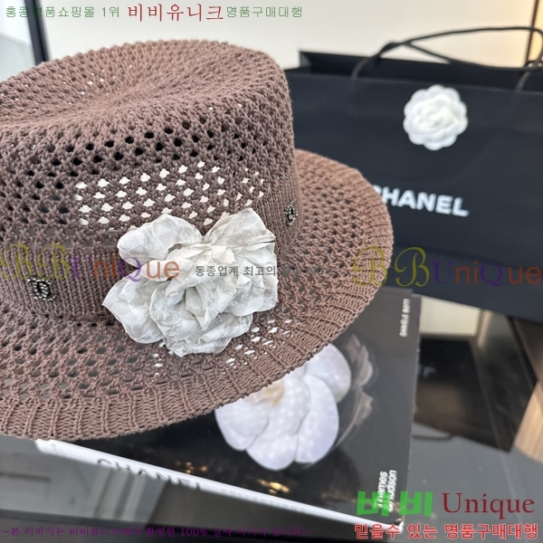 ��* ���� CH2520999-1
