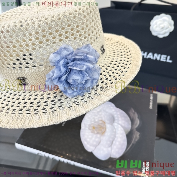 ��* ���� CH2520999-2