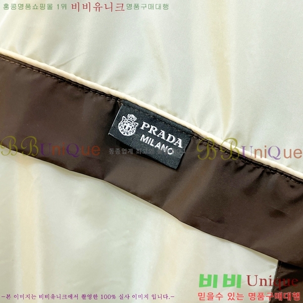 ���� ����� ��Ŷ PA246718