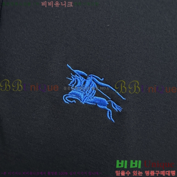 ���� ������ ���ǽ� BU256084-8