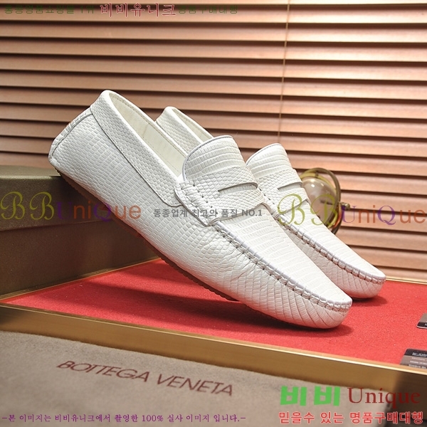 ���� ���װ�����Ÿ ���� BV480022-1