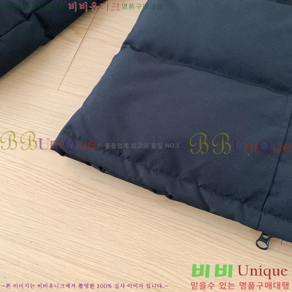 ���� ĳ���ٱ��� �ٿ� �е� CAG15738-1