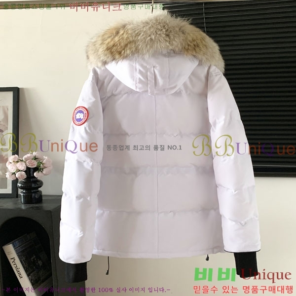 ���� ĳ���ٱ��� �ٿ� �е� CAG15738-2