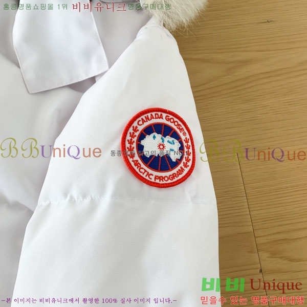 ���� ĳ���ٱ��� �ٿ� �е� CAG15738-2