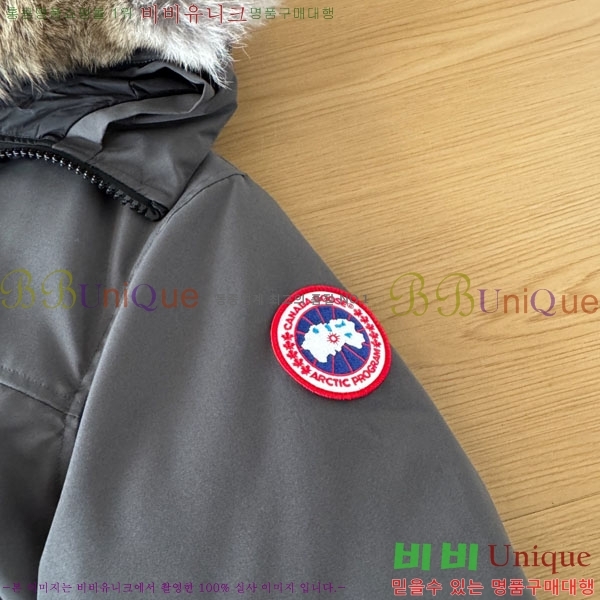 ���� ĳ���ٱ��� �ٿ� �е� CAG15744-4