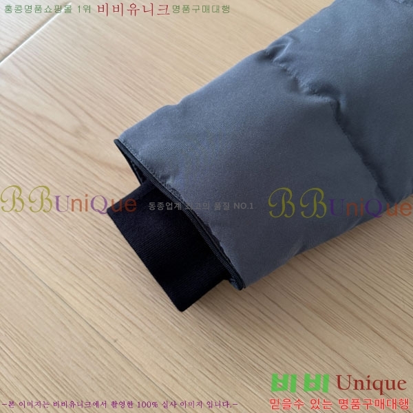 ���� ĳ���ٱ��� �ٿ� �е� CAG15745-2