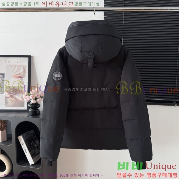 ���� ĳ���ٱ��� �ٿ� �е� CAG15745-5