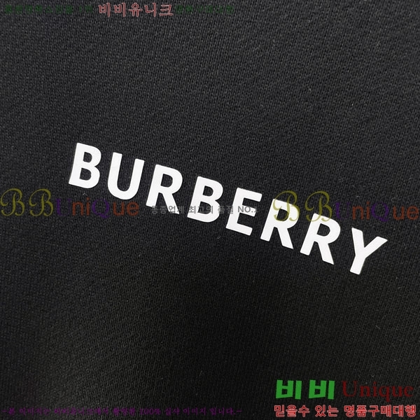 ���� ������ �ĵ�Ƽ BU385183