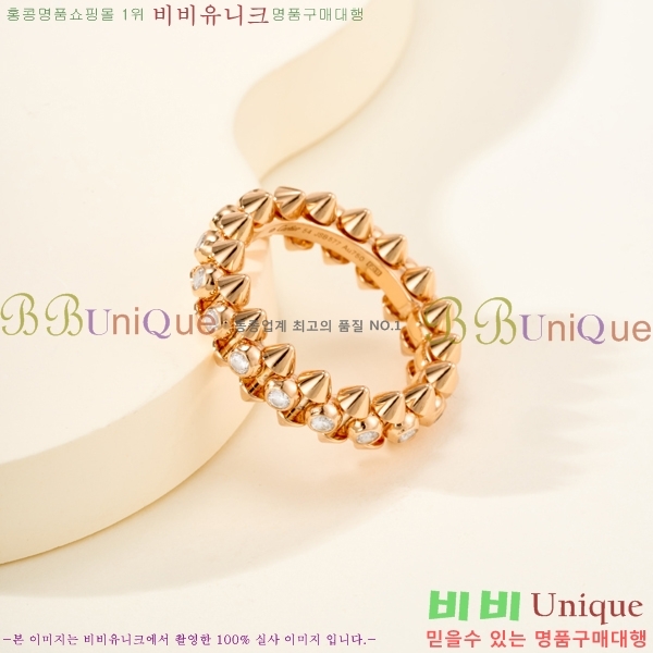 �������� ��쿡 ���� CA2450733-2