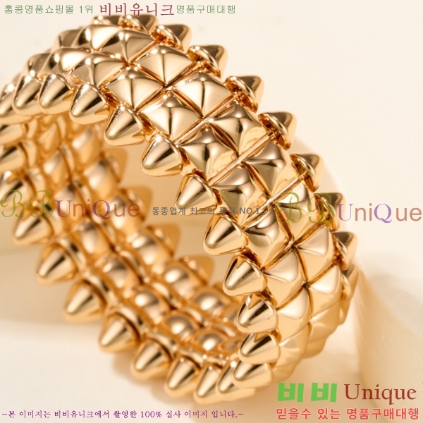 �������� ��쿡 ���� CA2450733-1