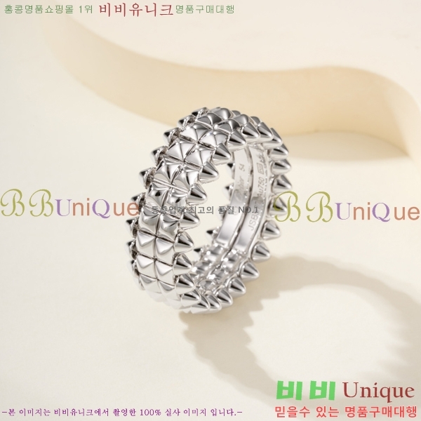 �������� ��쿡 ���� CA2450733-1